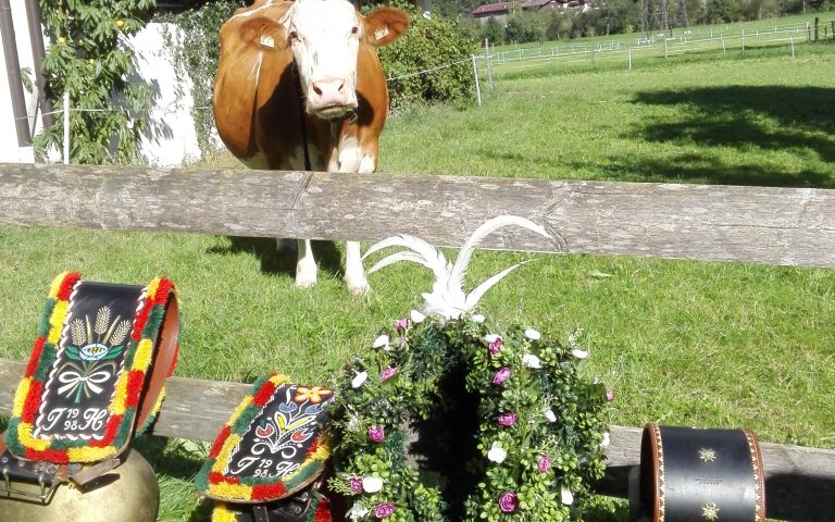 Almabtrieb-Schmuck
